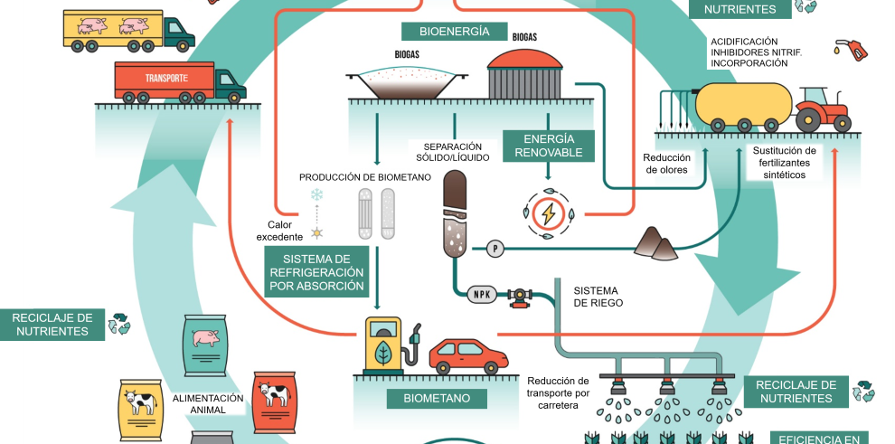 El CITA pone en marcha un proyecto europeo que busca un sistema integral de gestión del purín sostenible para conseguir granjas climáticamente neutras