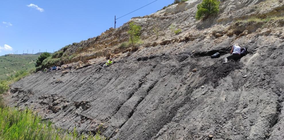 Una campaña de excavación descubre nuevas piezas de ámbar del yacimiento de Sant Just en Utrillas