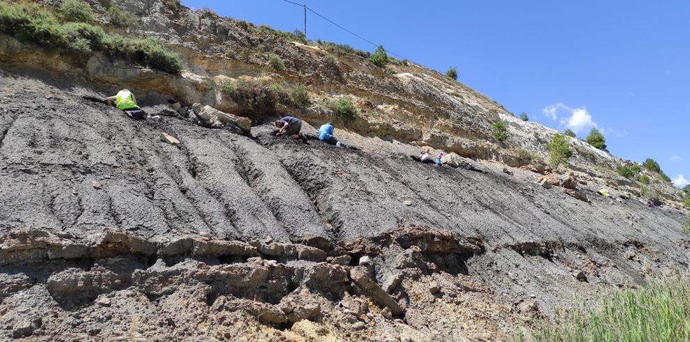 Una campaña de excavación descubre nuevas piezas de ámbar del yacimiento de Sant Just en Utrillas