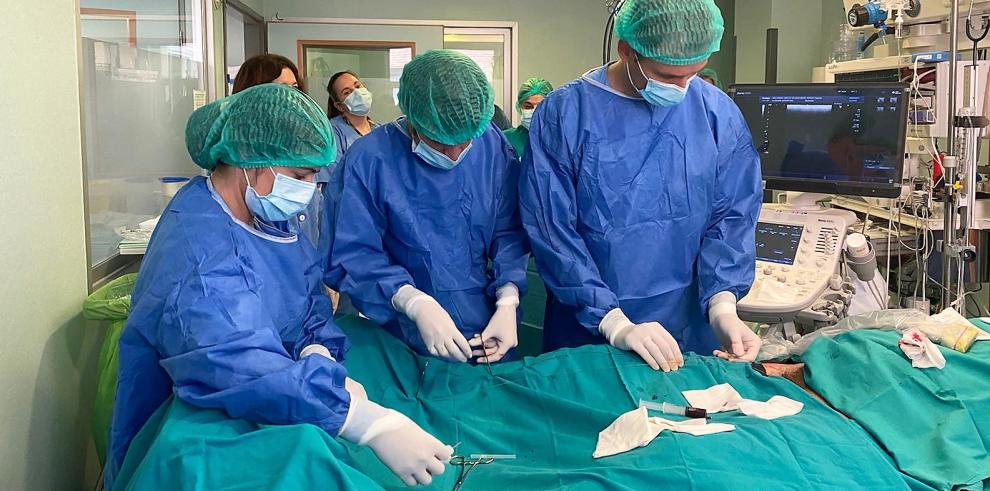 El Servet realiza la primera donación en asistolia con apoyo de ECMO