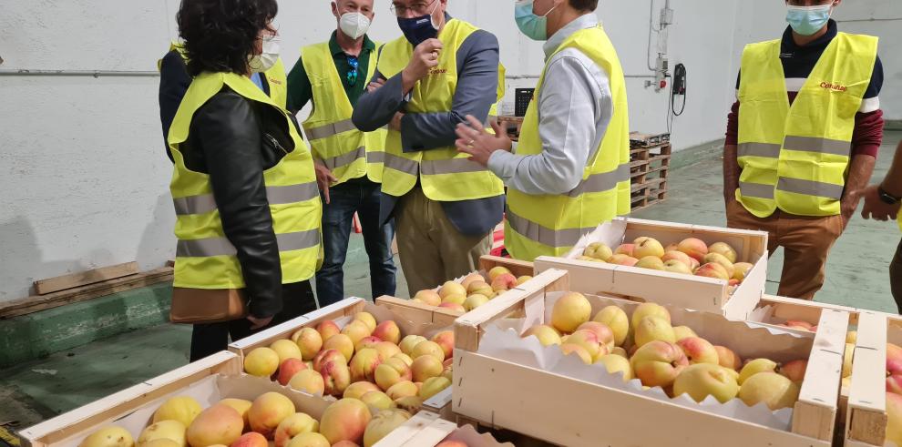 Olona pone en valor el papel de las cooperativas en la continuidad del modelo de agricultura familiar y en el desarrollo agroindustrial