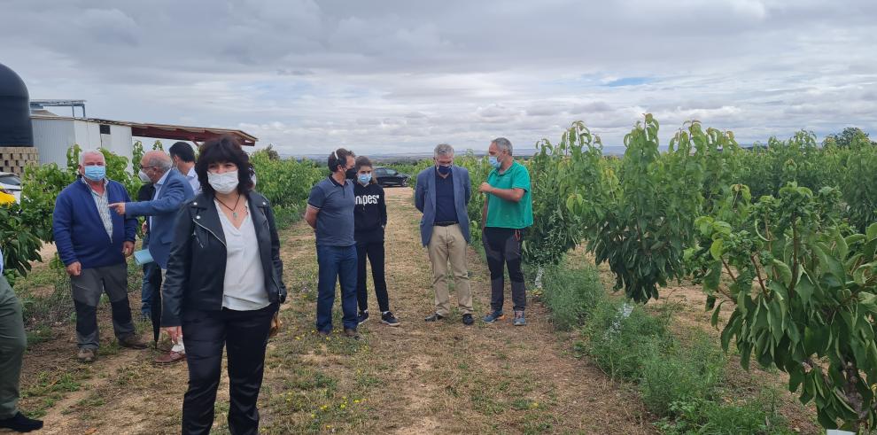 Olona pone en valor el papel de las cooperativas en la continuidad del modelo de agricultura familiar y en el desarrollo agroindustrial