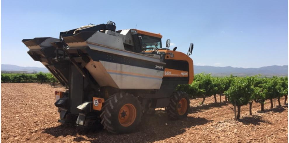 Tecnología para la trazabilidad del vino, de la cepa a la botella