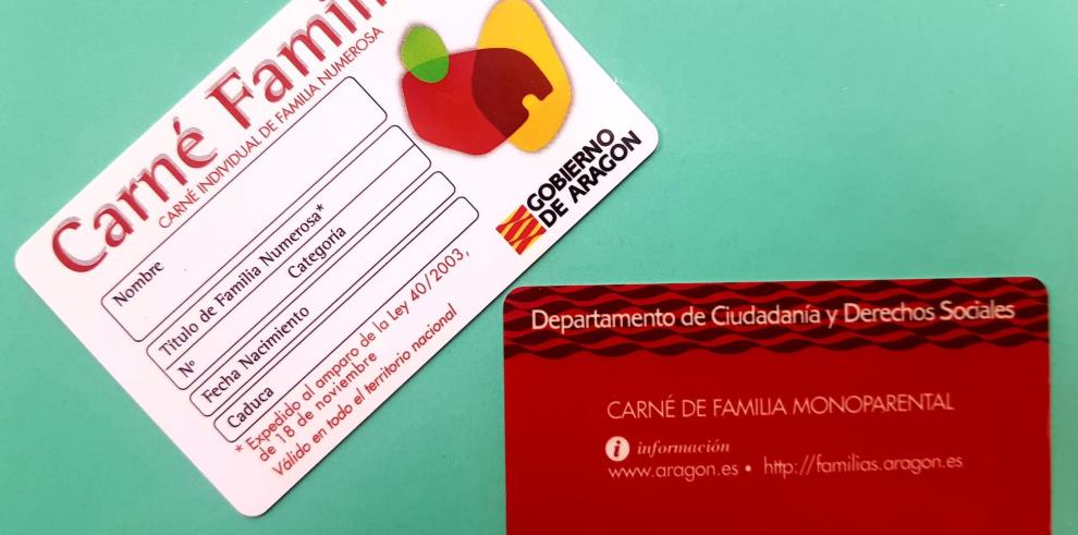 Igualdad y Familias ha emitido ya más de 500 carnés de familias monoparentales