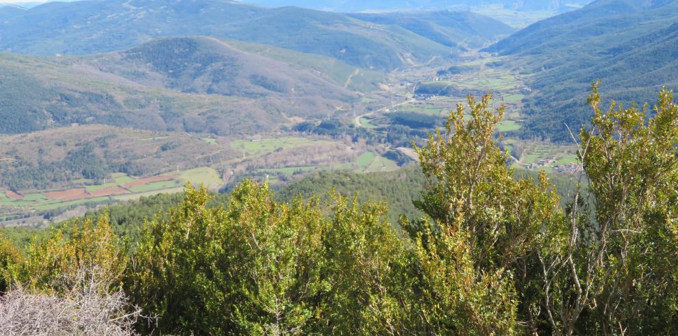 El Plan Forestal de Aragón y su Estudio Ambiental Estratégico se someten a información pública