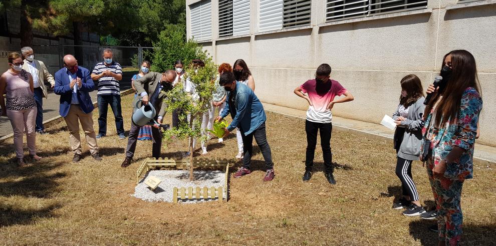 Cariñena cierra el curso en el que sus colegios de Infantil y Primaria se han unificado en la misma parcela