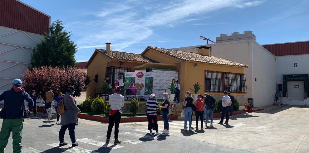 Hoy ha comenzado la vacunación de 2.500 trabajadores hortofrutícolas en la comunidad, que se desarrollará durante la próxima semana en cinco comarcas