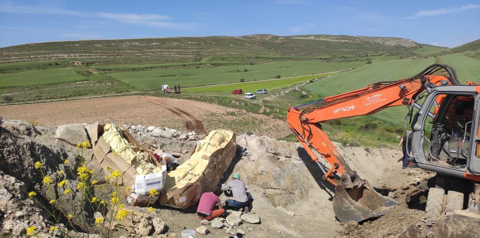 Recuperada una columna vertebral de un dinosaurio gigante en Teruel