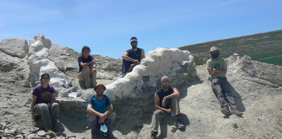 Recuperada una columna vertebral de un dinosaurio gigante en Teruel