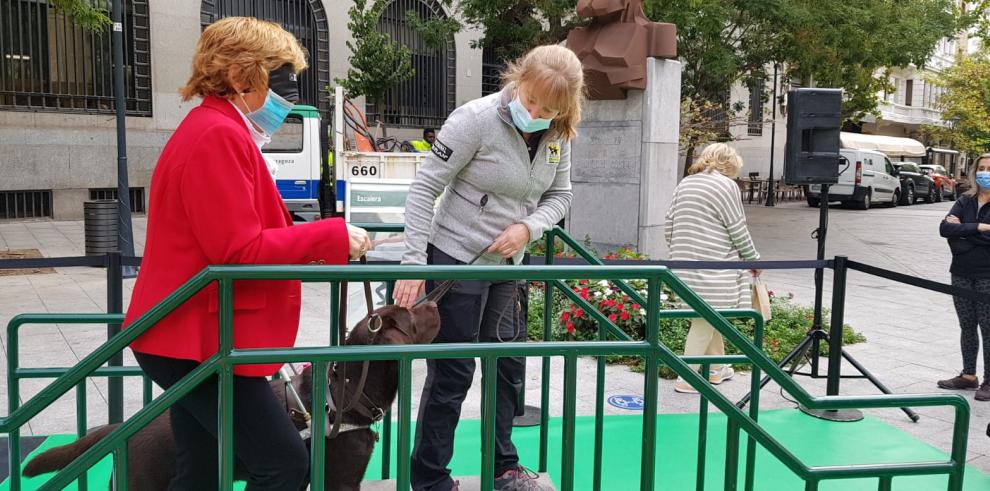 El Gobierno de Aragón trabaja en la ley para regular el uso de perros de asistencia para las personas con discapacidad en la Comunidad