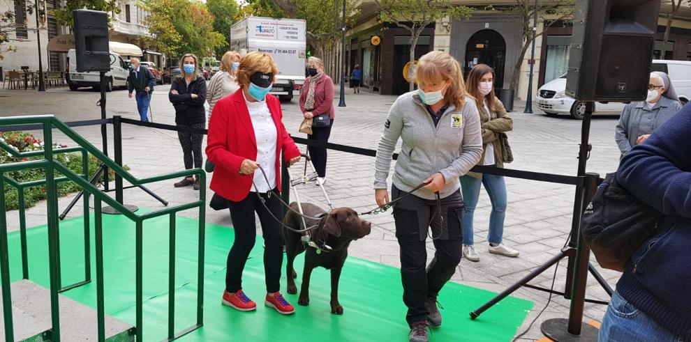 El Gobierno de Aragón trabaja en la ley para regular el uso de perros de asistencia para las personas con discapacidad en la Comunidad