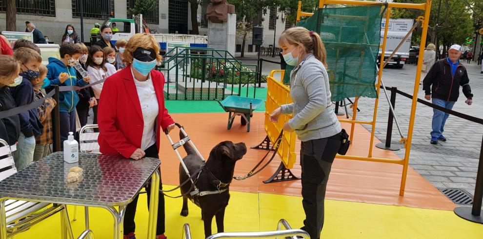 El Gobierno de Aragón trabaja en la ley para regular el uso de perros de asistencia para las personas con discapacidad en la Comunidad