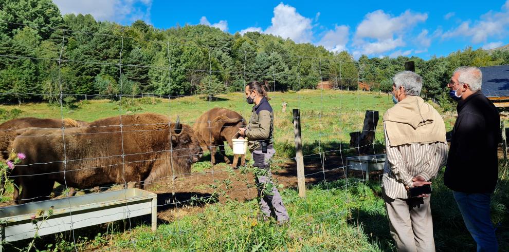 El Gobierno de Aragón colabora con Lacuniacha en la conservación de la fauna amenazada