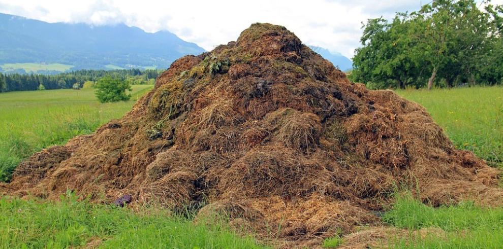 El Plantero de Parolas de l’Ortal reúne en su primera fase más de 300 palabras de la huerta aragonesa