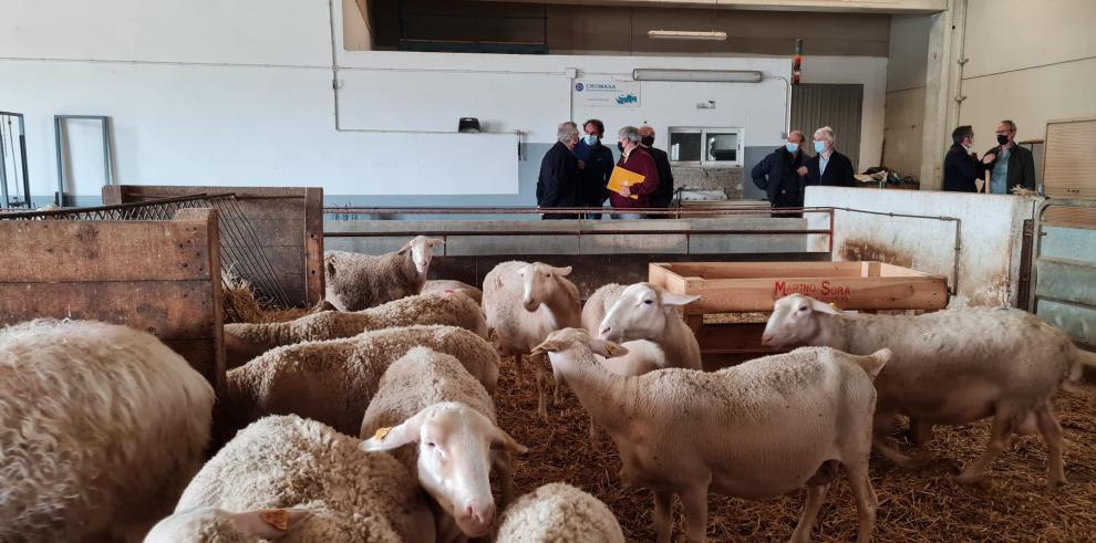 Olona considera fundamental la transferencia del conocimiento al sector agroalimentario para afrontar sus retos