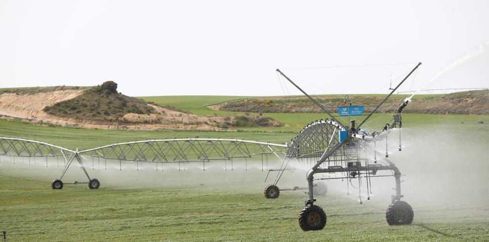 El Gobierno de Aragón apoyará la modernización integral de más de 16.000 hectáreas en Bardenas, el proyecto de regadío más ambicioso impulsado en Aragón y que prevé una inversión de 114 millones de euros