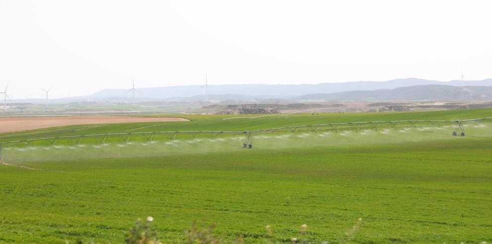 El Gobierno de Aragón apoyará la modernización integral de más de 16.000 hectáreas en Bardenas, el proyecto de regadío más ambicioso impulsado en Aragón y que prevé una inversión de 114 millones de euros