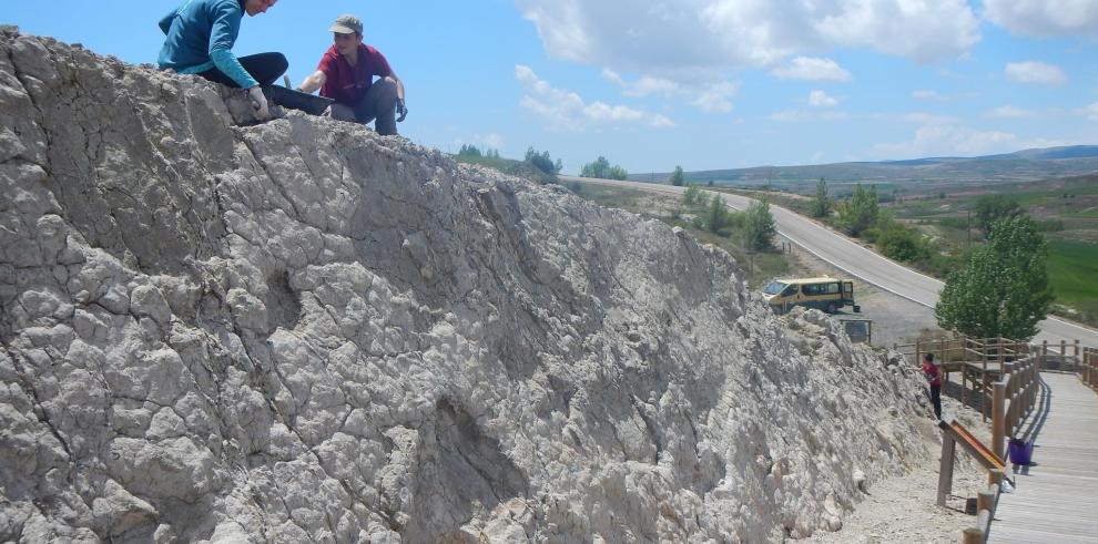 La Fundación Dinópolis lanza “La Carretera de las Huellas de Dinosaurio” en Teruel