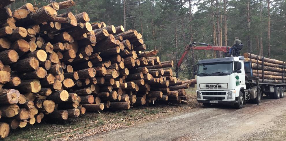 El Gobierno de Aragón retoma la Mesa de la Madera