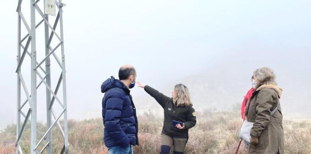 Los tendidos eléctricos del vertedero de Fornillos (Huesca) se adaptarán para proteger a la avifauna