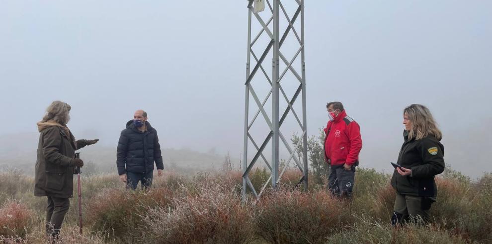 Los tendidos eléctricos del vertedero de Fornillos (Huesca) se adaptarán para proteger a la avifauna