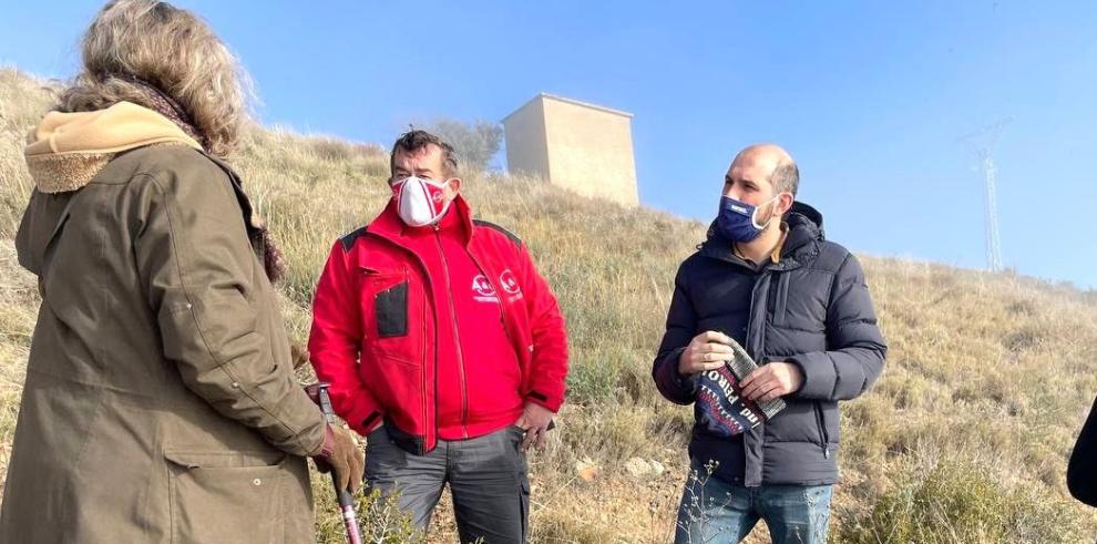 Los tendidos eléctricos del vertedero de Fornillos (Huesca) se adaptarán para proteger a la avifauna