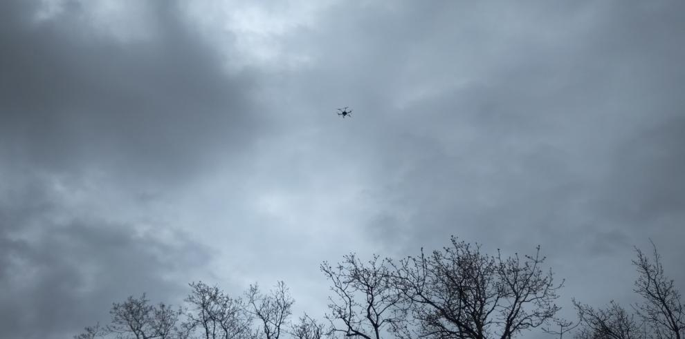 El proyecto CO2PPICE inicia mediciones con dron para caracterizar la estructura del bosque, estimar la biomasa y modelizar el microclima del sotobosque