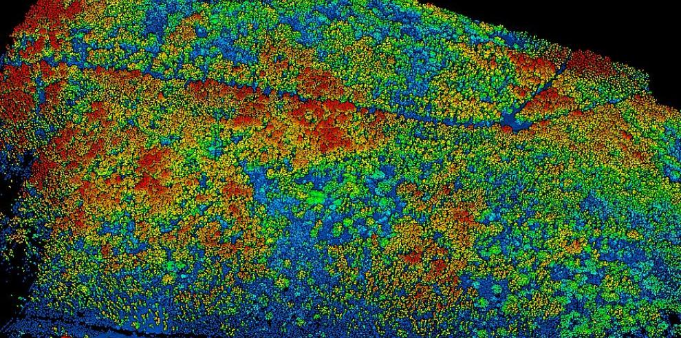 El proyecto CO2PPICE inicia mediciones con dron para caracterizar la estructura del bosque, estimar la biomasa y modelizar el microclima del sotobosque