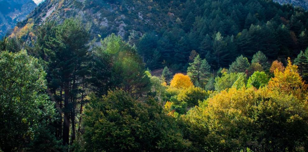 La ruta jacobea en la Comunidad Autónoma protagoniza una exposición fotoperiodística realizada con apoyo del Gobierno de Aragón