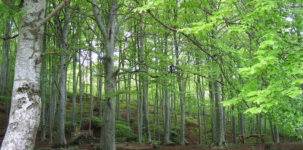 Diez espacios naturales protegidos para visitar este verano