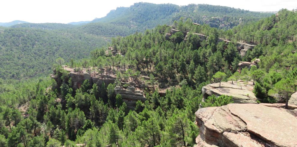 Diez espacios naturales protegidos para visitar este verano