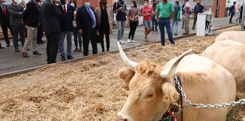 Arranca la actividad ferial con la XV edición de FIGAN, el encuentro ganadero más importante de la Península Ibérica