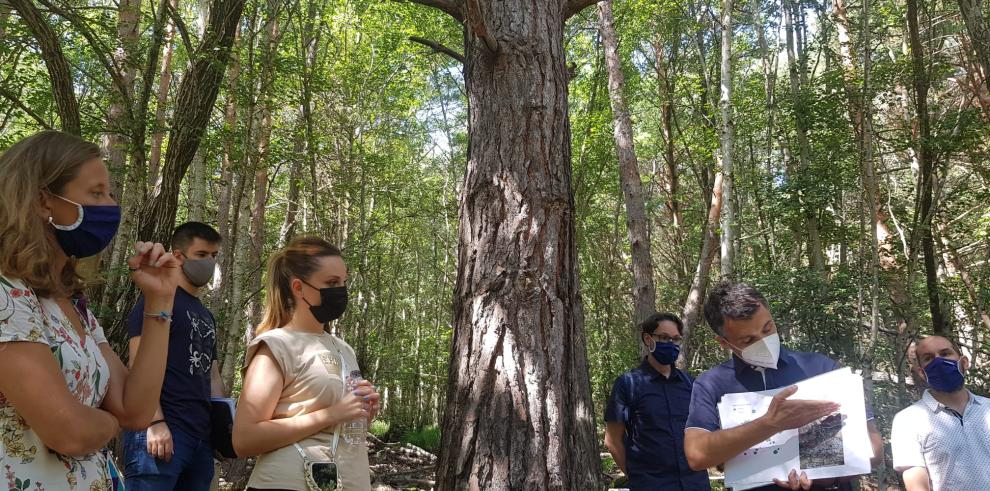 Díaz llama a desarrollar el potencial micológico del Moncayo, de la mano de la investigación, para asentar población, crear riqueza y preservar la biodiversidad