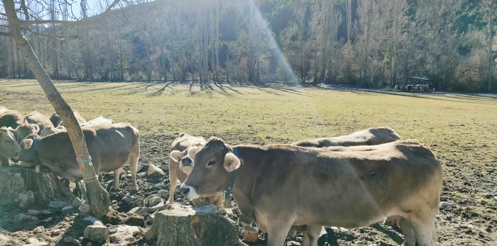 Díaz: "La ciencia es la mejor aliada para afrontar la necesaria transición verde de nuestro sector primario"