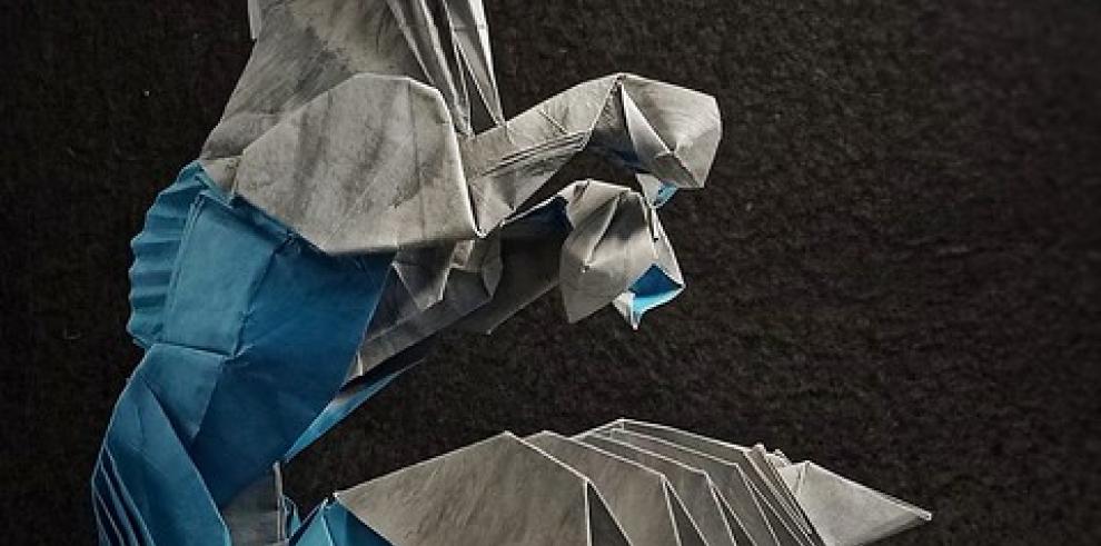 El director de Cultura recibe al campeón de las Olimpiadas de origami