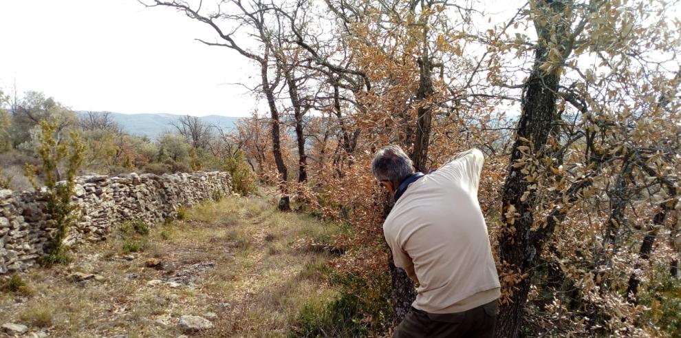 Comienzan los trabajos de mantenimiento en el Parque Natural de la Sierra y los Cañones de Guara