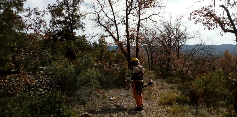 Comienzan los trabajos de mantenimiento en el Parque Natural de la Sierra y los Cañones de Guara