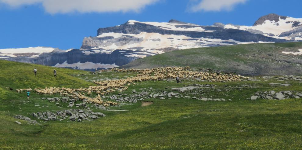 Aínsa acoge las Jornadas sobre Espacios Naturales Protegidos del Consejo de Protección de la Naturaleza 