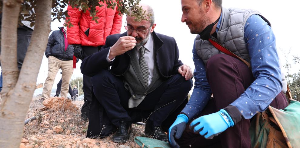 El Presidente de Aragón adelanta el compromiso con la segunda fase del proyecto de regadíos que consolidará el liderazgo trufícola de Sarrión