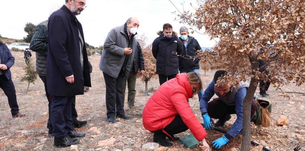 El Presidente de Aragón adelanta el compromiso con la segunda fase del proyecto de regadíos que consolidará el liderazgo trufícola de Sarrión