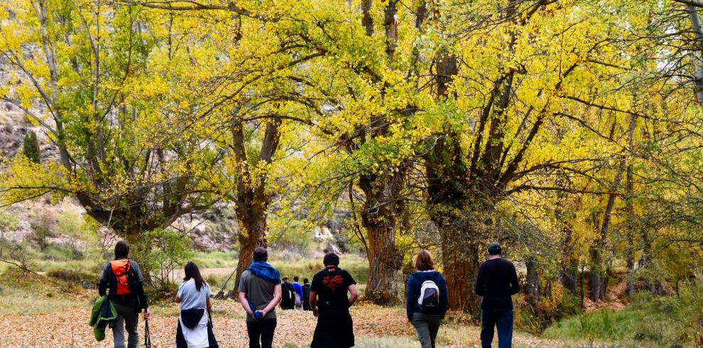 El Parque Cultural del Chopo Cabecero difunde su apuesta por el desarrollo rural a través del patrimonio