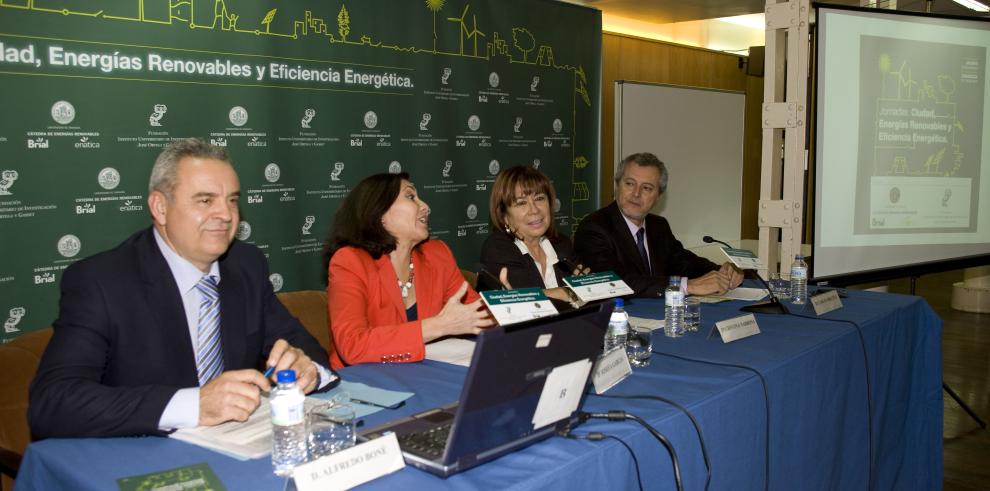 Boné: ¿Las energías renovables en Aragón son un potencial por el que hemos apostado como motor de desarrollo de la Comunidad¿