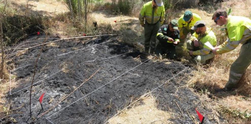 El 78% de las causas de los incendios forestales en Aragón se deben a acciones humanas