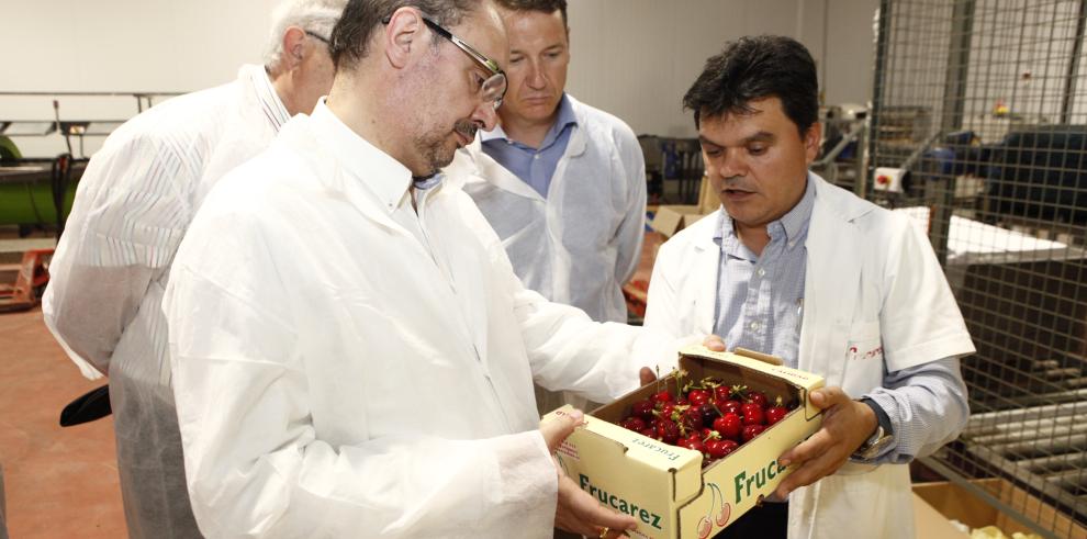 El Presidente de Aragón visita la I Feria de la cereza y el ajo verde de Ricla y aplaude el empuje de los productores 