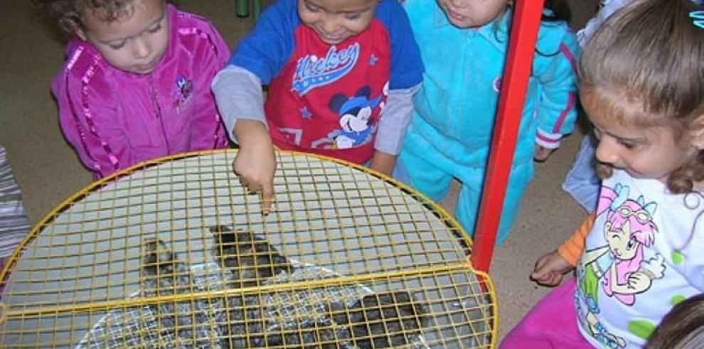 El colegio público Ferrer y Racaj de Ejea, obtiene un Premio Nacional de Innovación Educativa