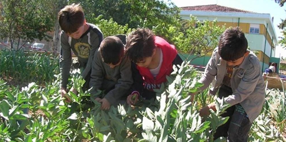 El colegio público Ferrer y Racaj de Ejea, obtiene un Premio Nacional de Innovación Educativa