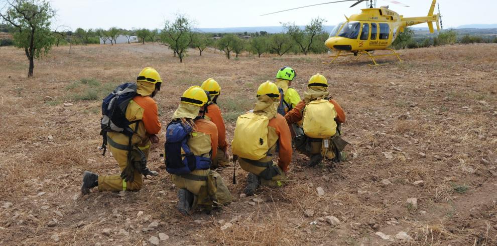 El Departamento de Medio Ambiente solicitará ayudas al Ministerio de Medio Ambiente, Medio Rural y Marino para el incendio de Mequinenza y Fayón