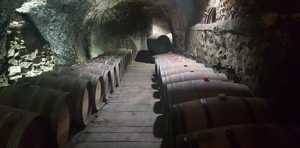 El Gobierno de Aragón lanza una estrategia para poner en valor el sector del vino a través del talento de sus profesionales