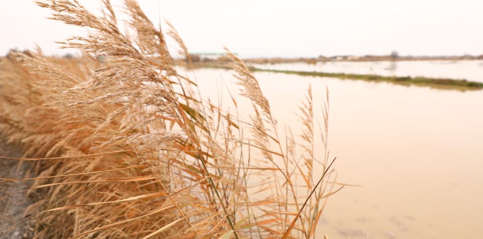 La Ribera Baja, fuera de peligro tras la crecida del Ebro