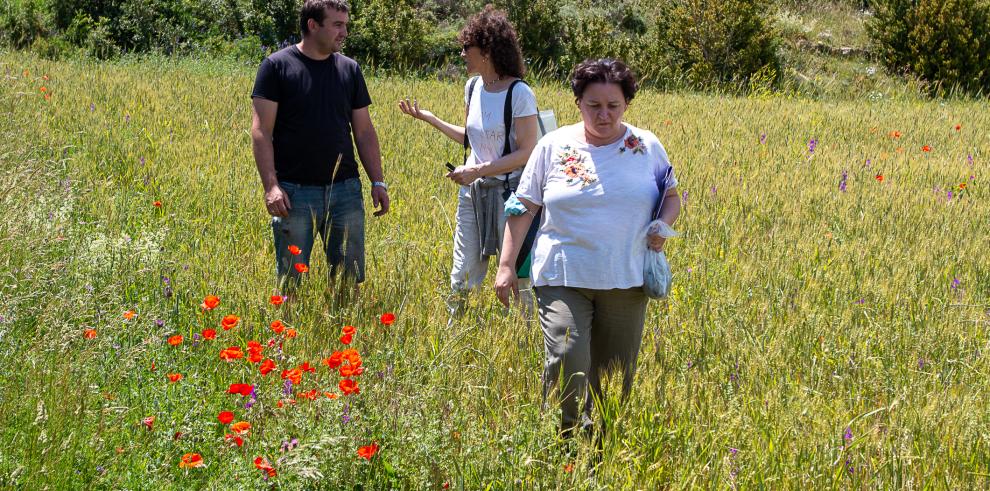 El CITA iniciará en septiembre el proyecto europeo LIFE PollinAction